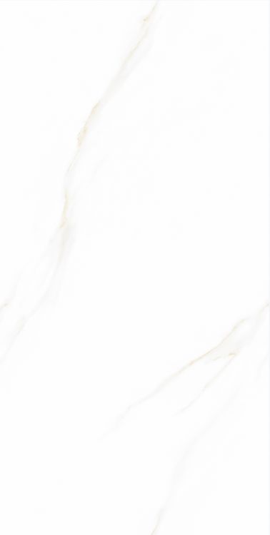 Time Cielo Polished 12 x 24